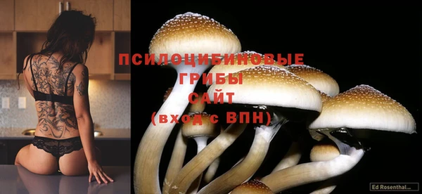спиды Кодинск