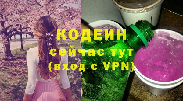 твердый Абаза