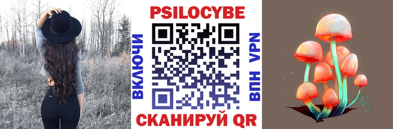 Псилоцибиновые грибы Psilocybe  даркнет наркотические препараты  Петушки 